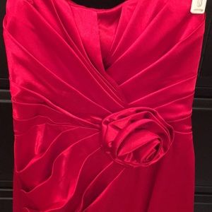 Special occasion dress - beautiful red!
